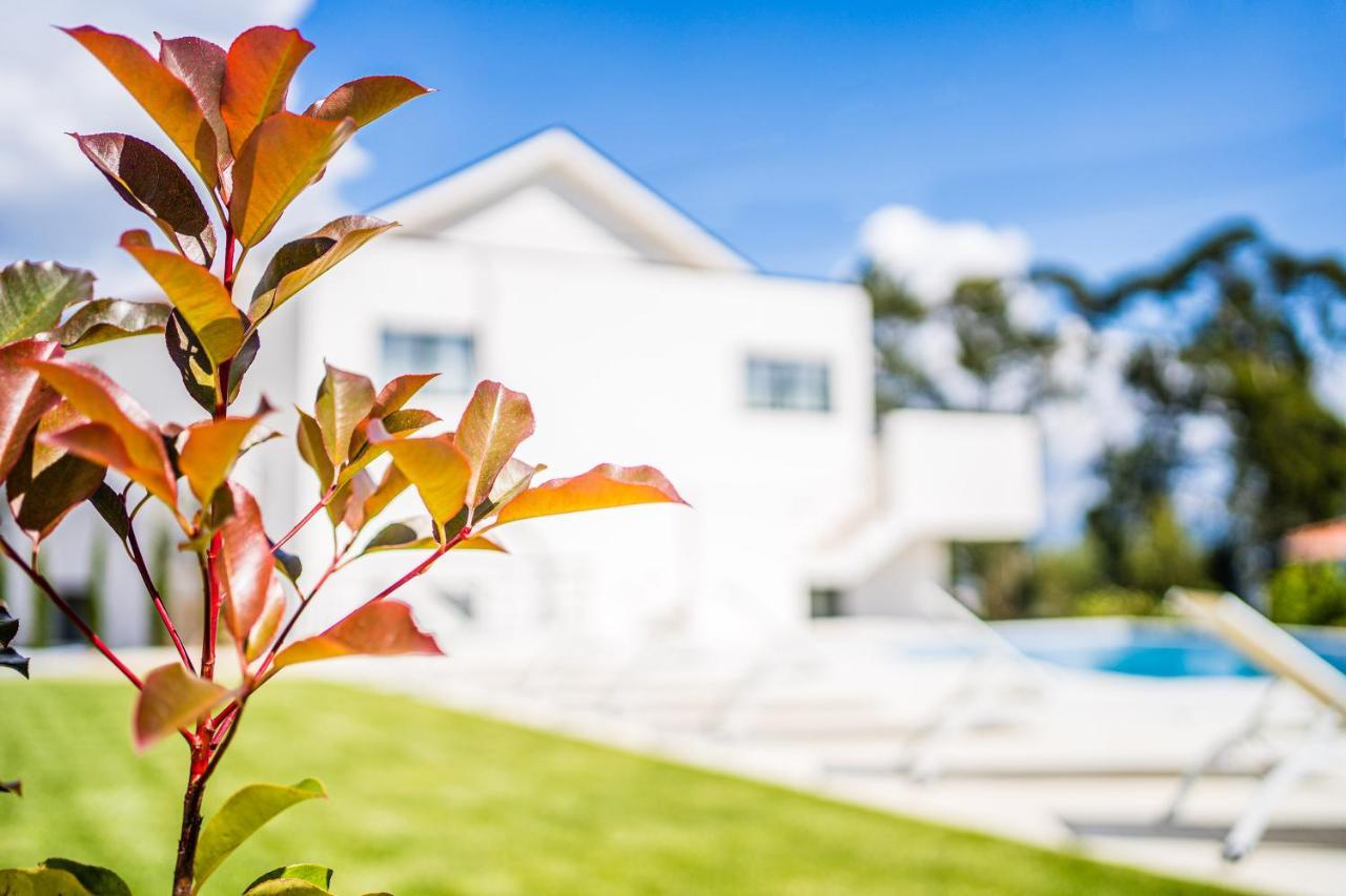 Casas Da Padaria Villa เซลอริโก จิ บาสโต ภายนอก รูปภาพ