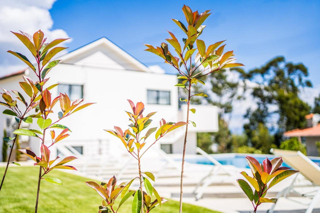 Casas Da Padaria Villa เซลอริโก จิ บาสโต ภายนอก รูปภาพ